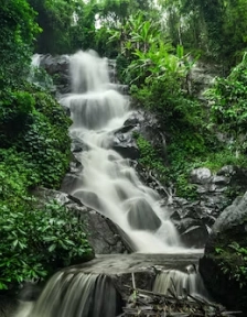 Chiang Rai