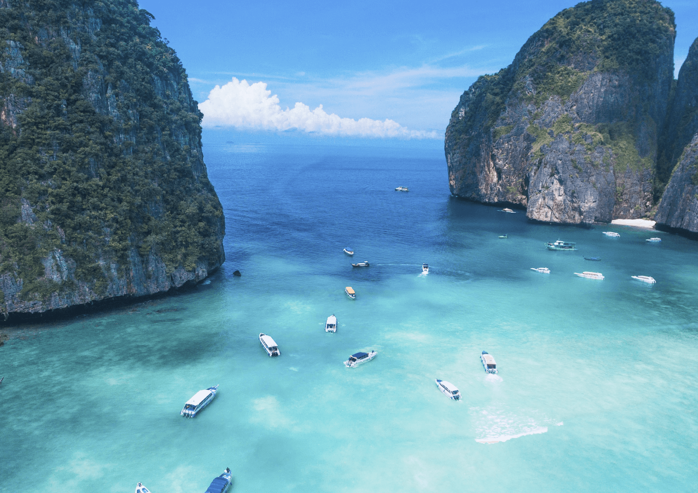 Phi Phi Island: Half Day Tour by Speedboat