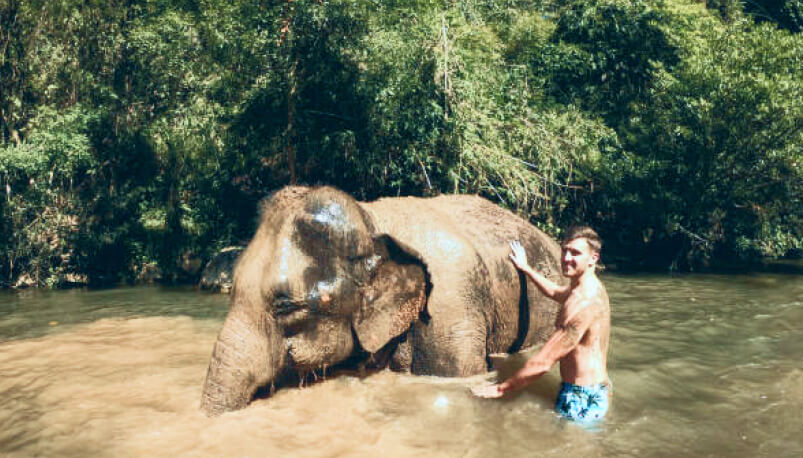 Krabi: Adventure Elephant Trek and Bathing