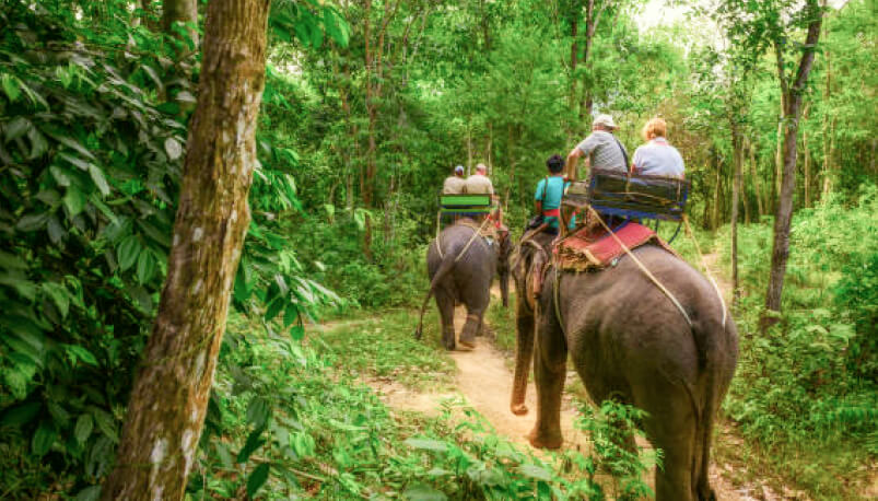 Phuket: Adventure Tours Zipline Elephant Trekking ATV