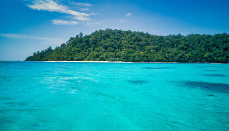 Krabi: Koh Rok and Koh Ha Day Tour by Catamaran Boat