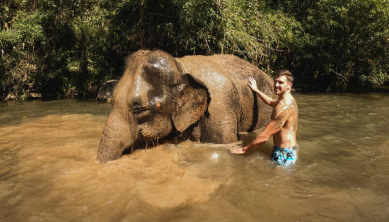 Pattaya: Elephant Jungle Sanctuary Experience