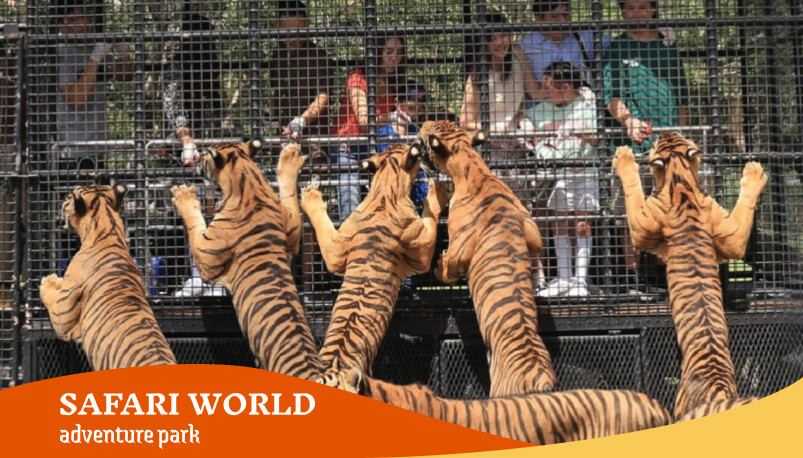 akerio-tours-safari-world-bangkok